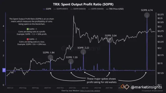 tron-sopr.jpeg