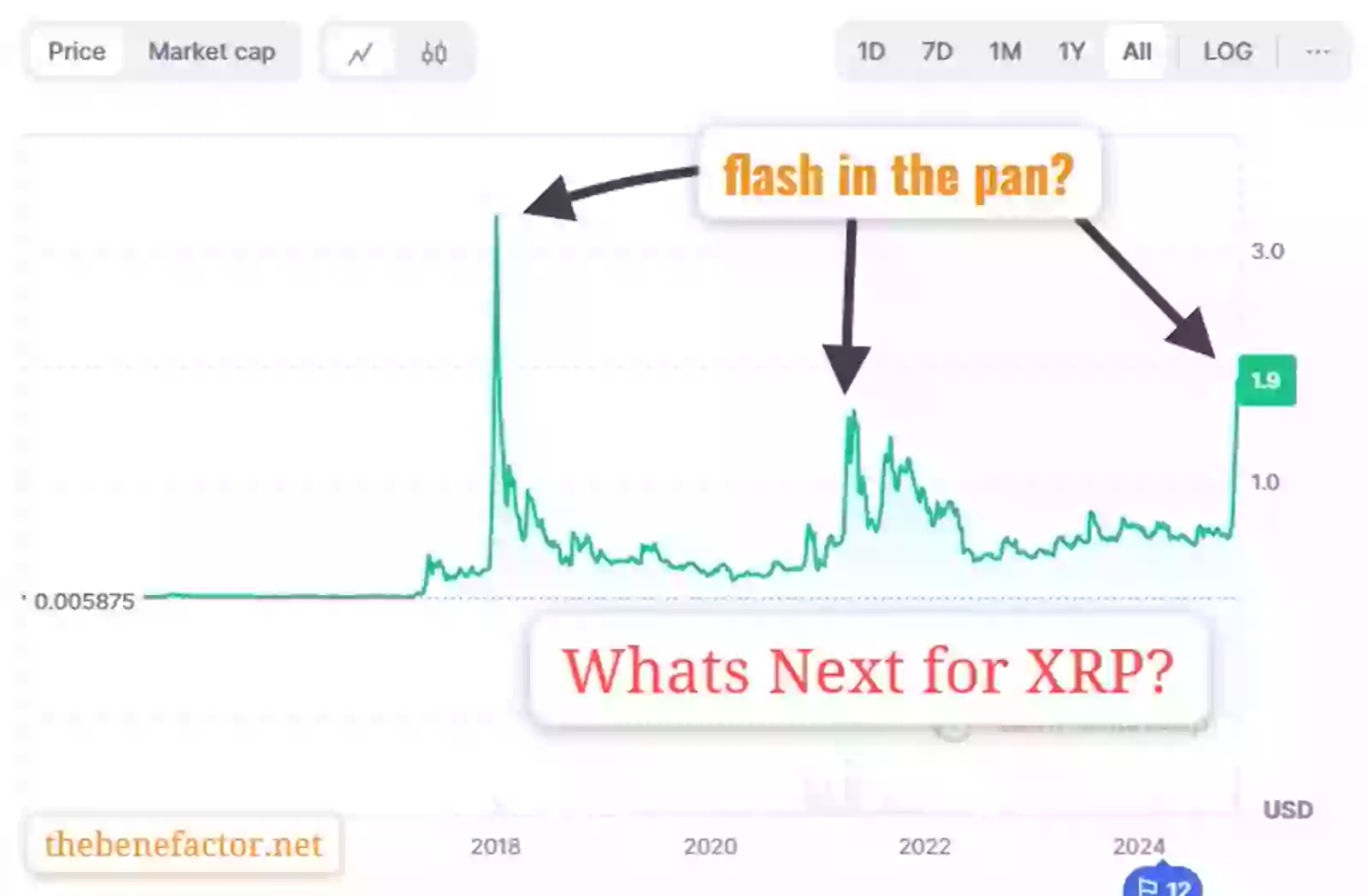 WhatsApp Image 2024-12-01 at 8.57.09 AM.jpeg