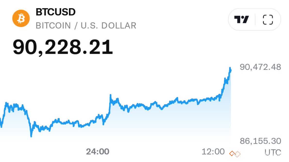 btc-update.jpeg