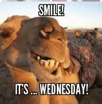 wednesday.webp
