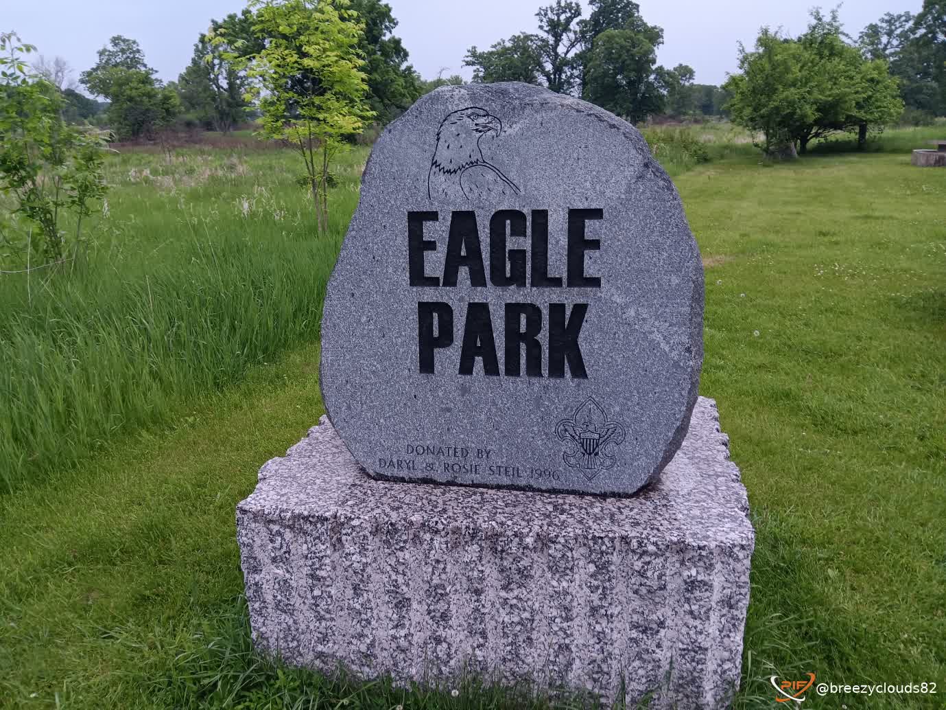 eagle1.jpg