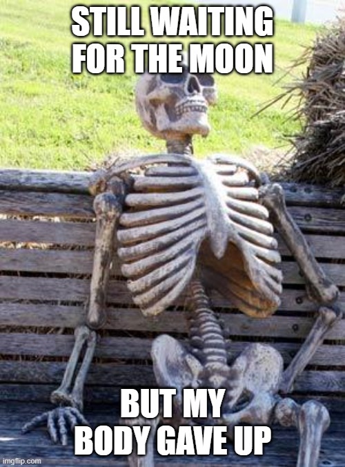 Crypto Meme
