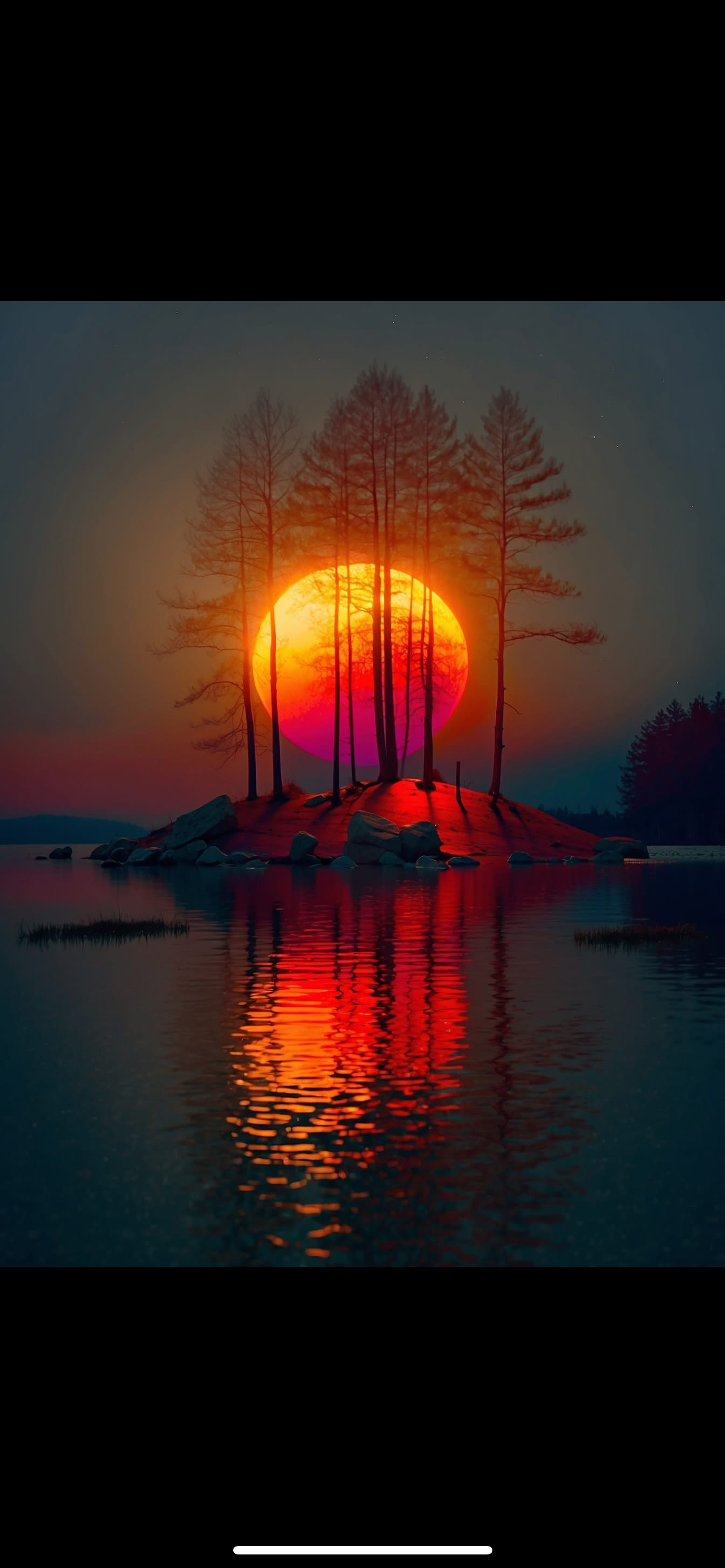 IMG_0686.png