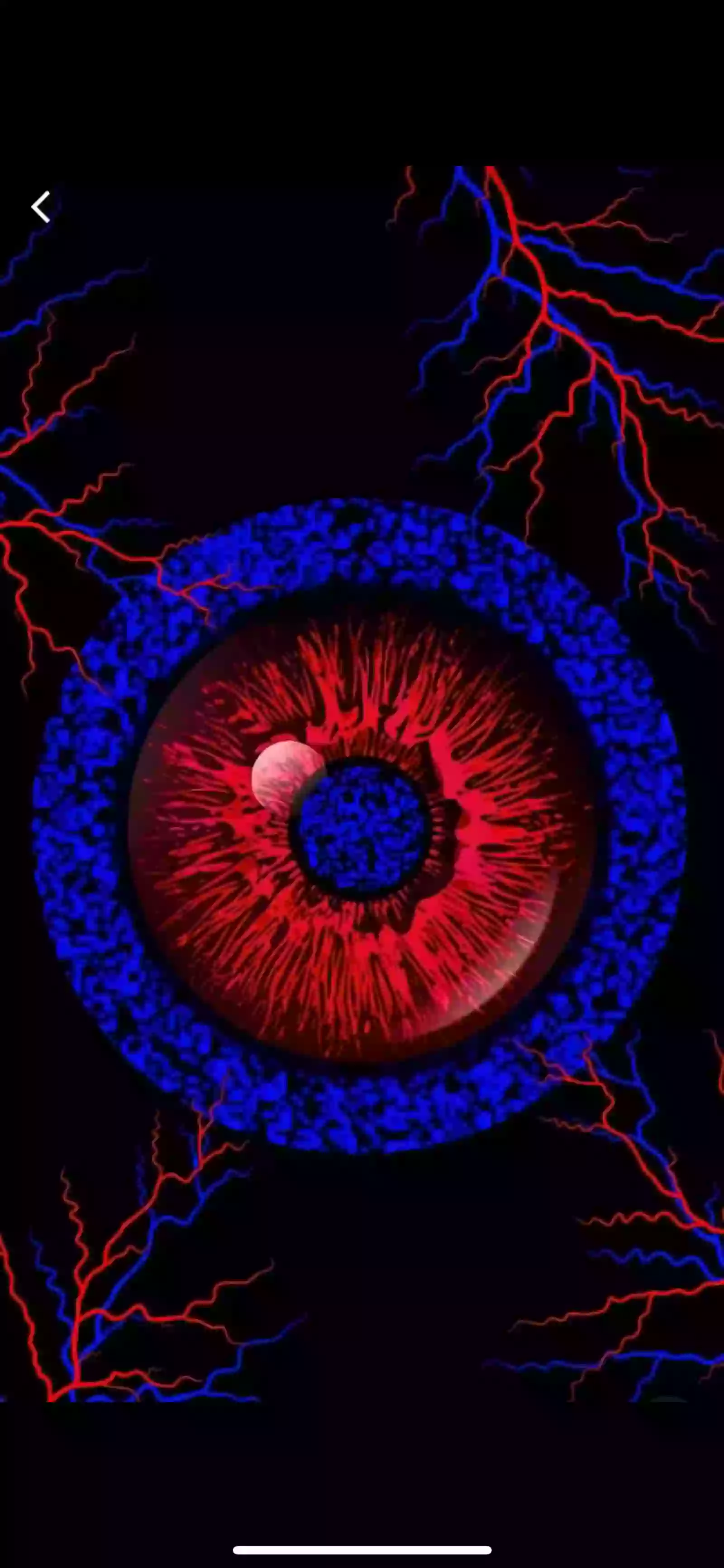 IMG_0433.png