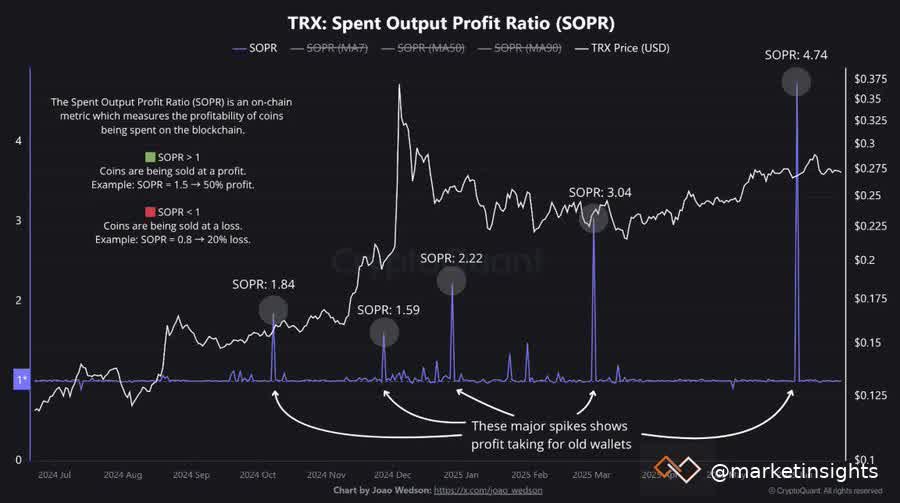 tron-sopr.jpeg