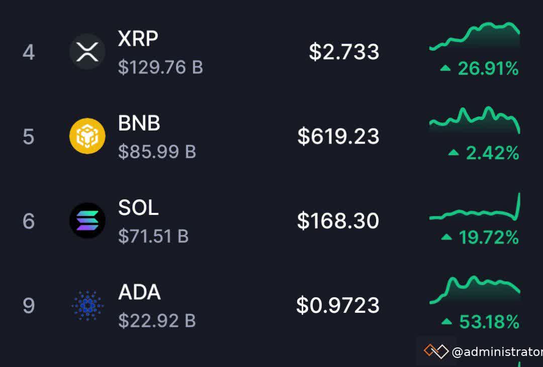 Market Update