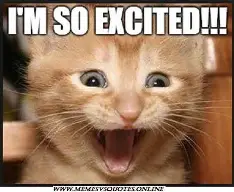 excited.webp
