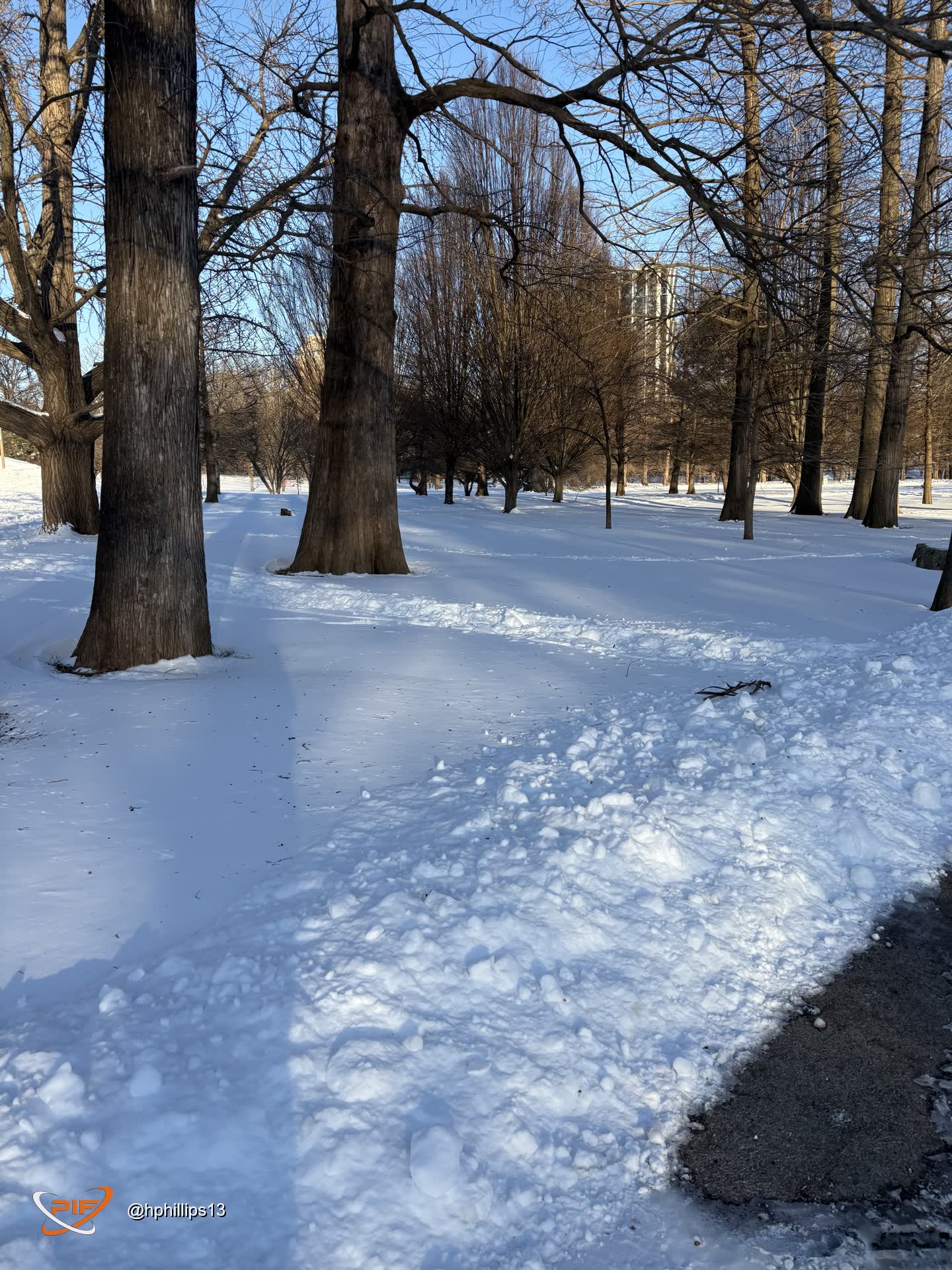 IMG_7727.jpeg