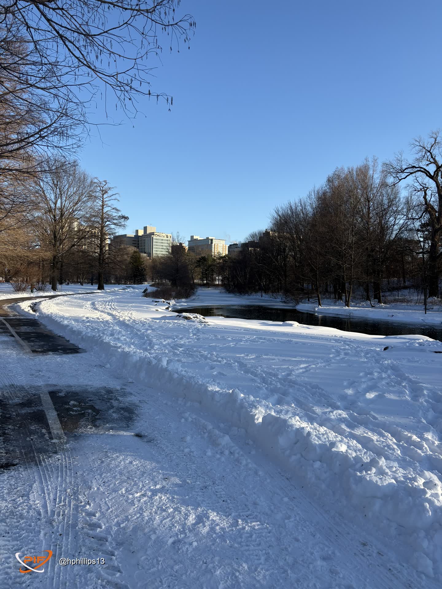 IMG_7724.jpeg