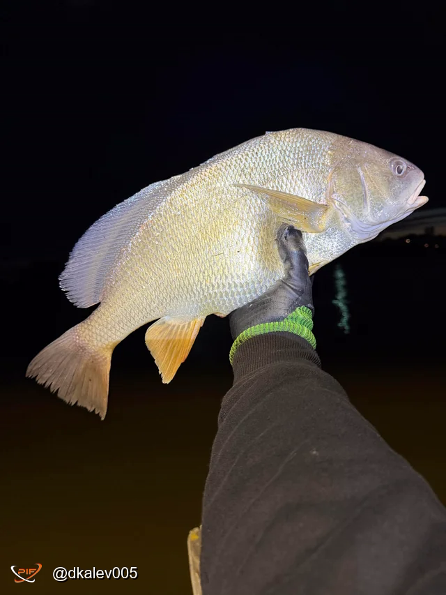 Caught This Beauty